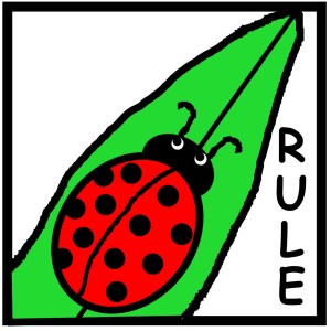 Logo of the company is a cute ladybug on a green leaf with the word Rule on the side. Rule is a word made up of the first two letters in each of our last names. This image is our logo.