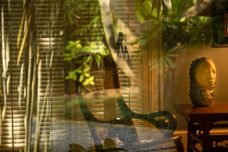 Picture of rocking chair against shadowy background with superimposed image of plants. 